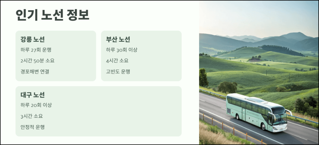 인기 노선 운행정보