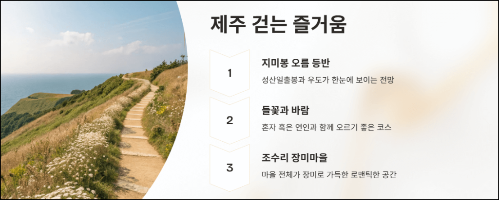 제주에서의 걷는 즐거움