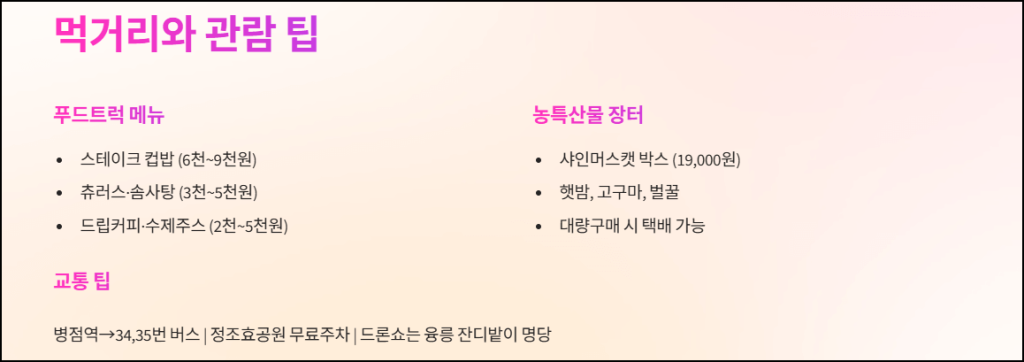 먹거리와 관람팁