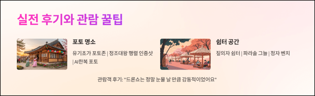 실전 후기와 관람 팁
