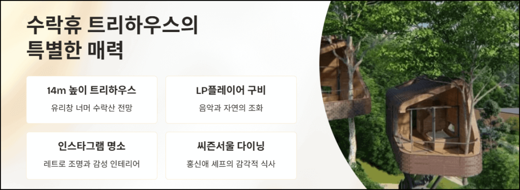 수락휴 트리하우스의 특별한 매력