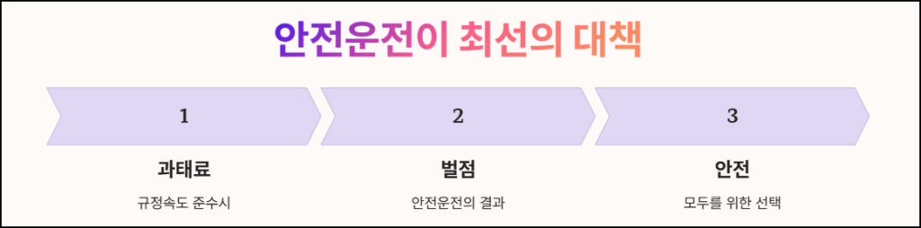 안전운전이 최선의 대책