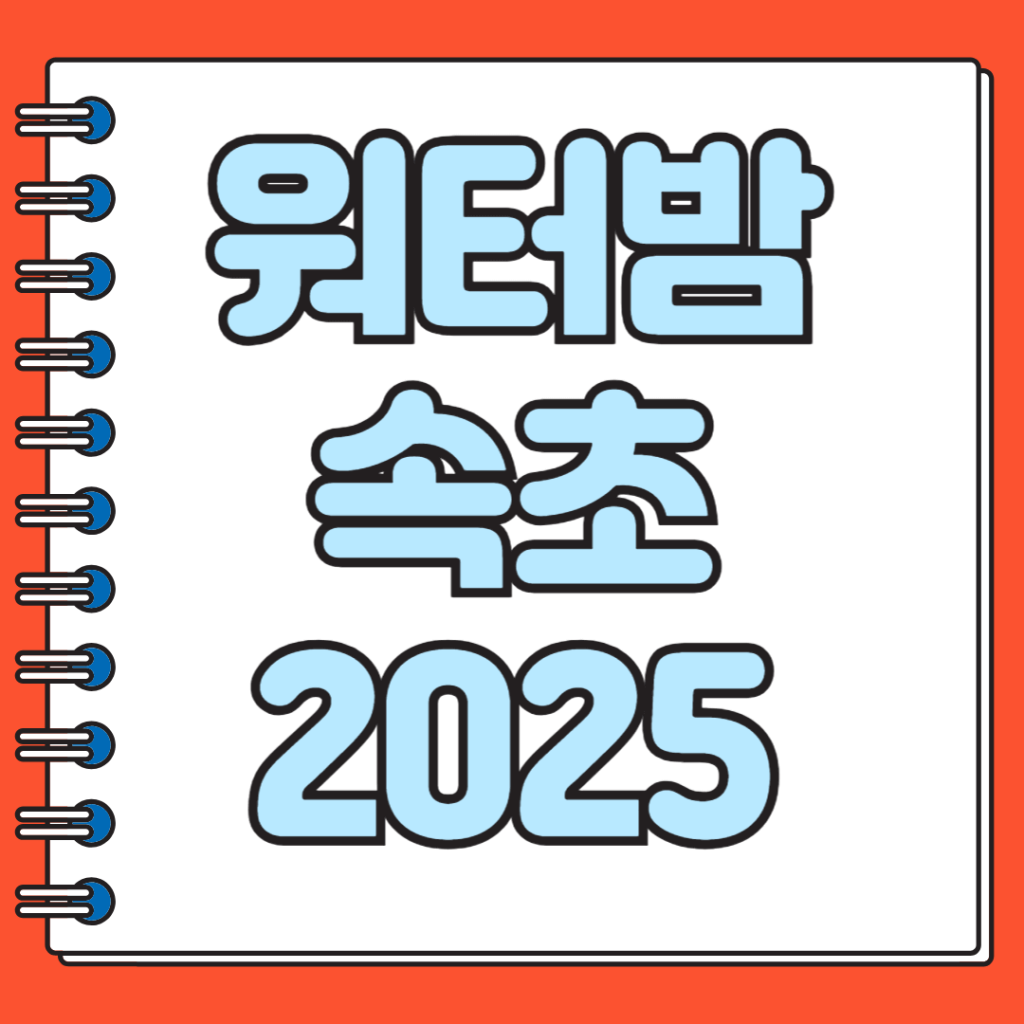 워터밤 속초