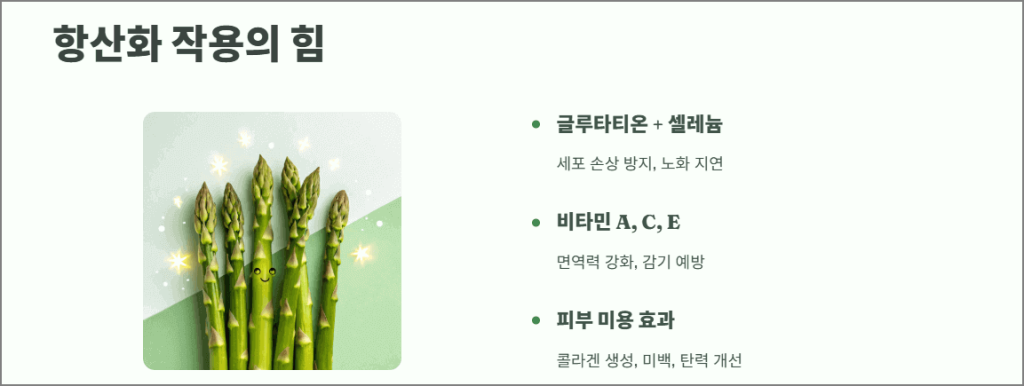 항산화 작용의 힘