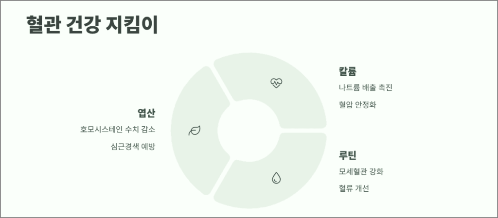 혈관 건강 지킴이