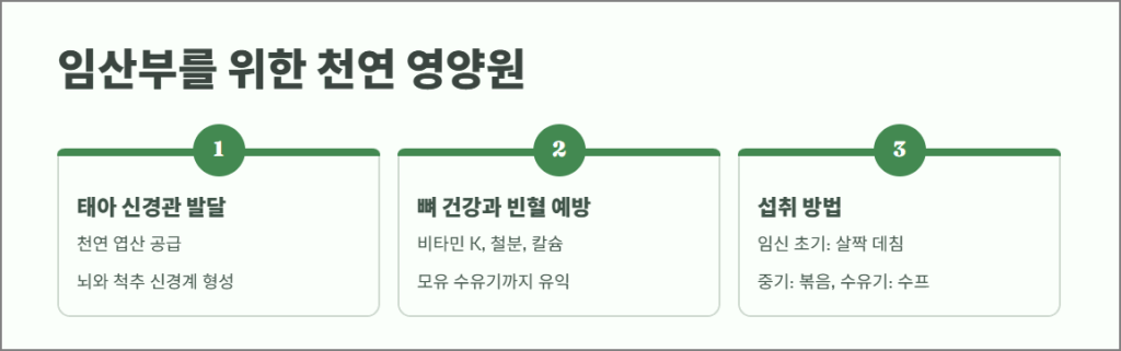 임산부를 위한 천연 영양원