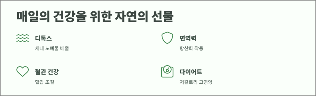 매일의 건강을 위한 자연의 선물