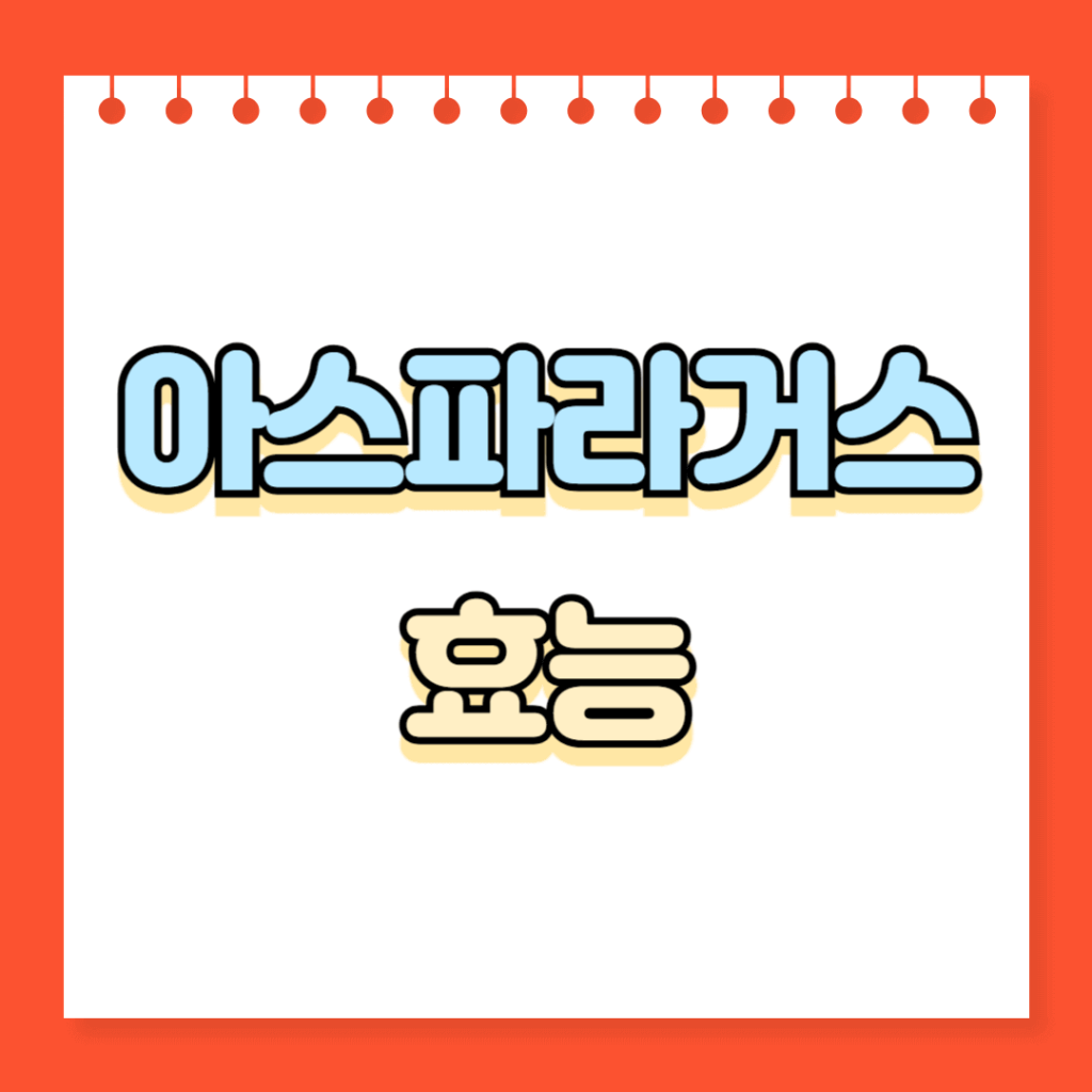 아스파라거스 효능