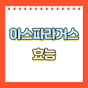 아스파라거스 효능