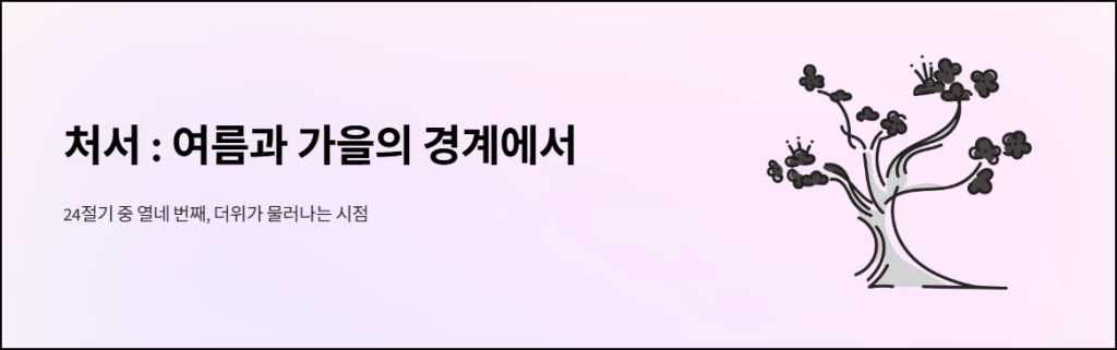 처서: 여름과 가을의 경계에서