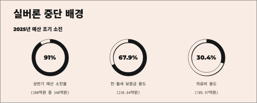 2025년 실버론 중단 배경