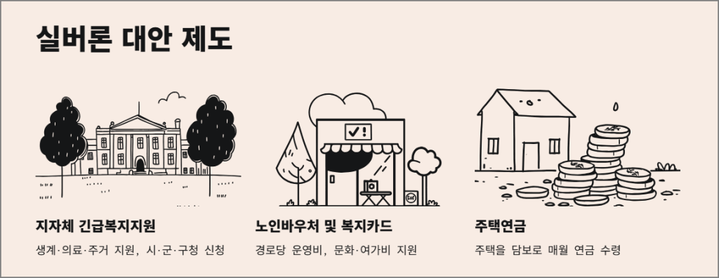 실버론 대안 금융제도