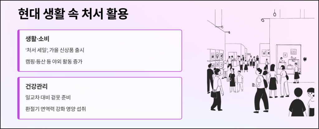 현대 생활 속 처서 활용