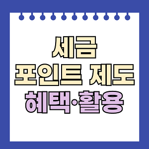 세금 포인트 제도 혜택
