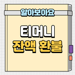 티머니 잔액 환불