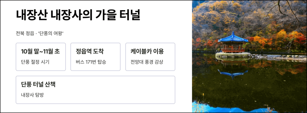 내장산 내장사의 가을 터널
