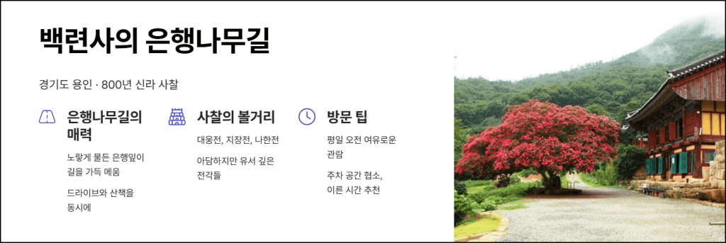 백련사의 은행나무길