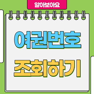 여권번호 조회하기
