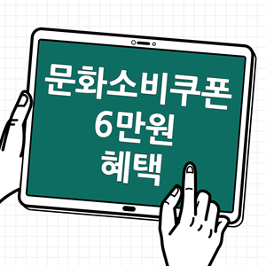 문화소비쿠폰 6만원 혜택